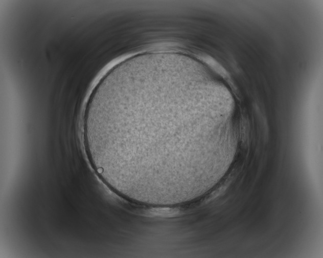 X0000086031478200704131901