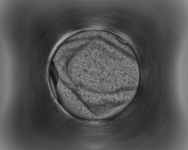 X0000086031480200704131901