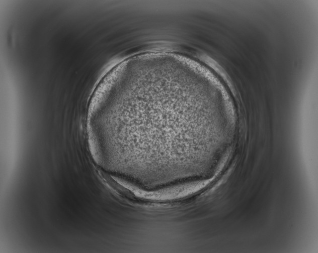 X0000086031481200704131901