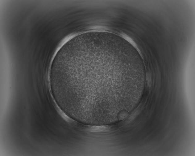 X0000086031482200704131901