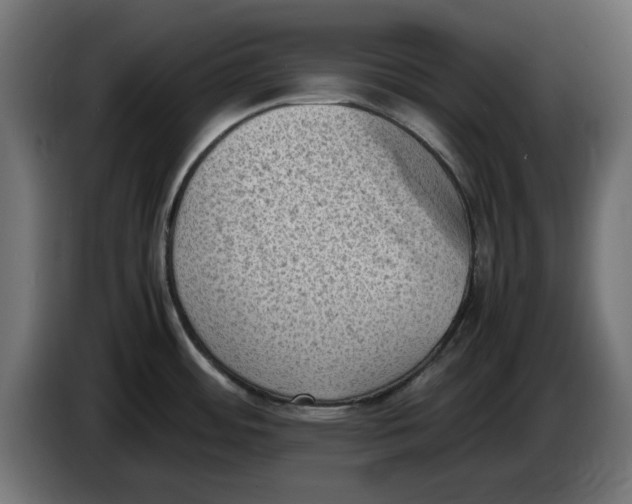 X0000086031484200704131901