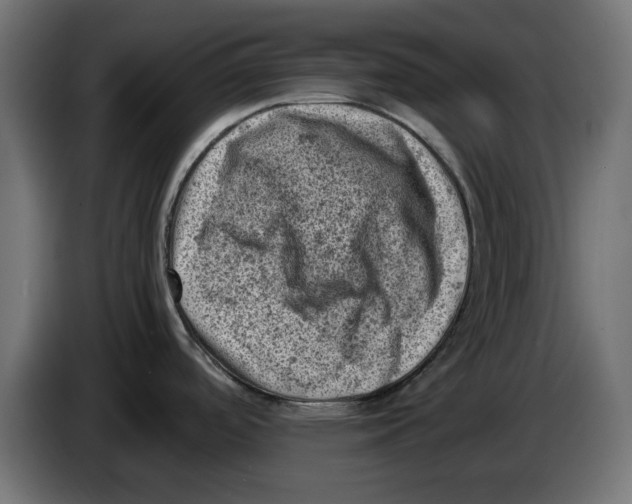 X0000086031488200704131901