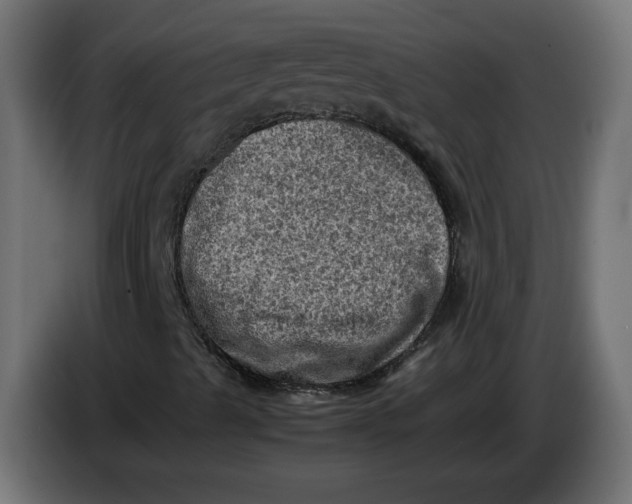 X0000086031489200704131900