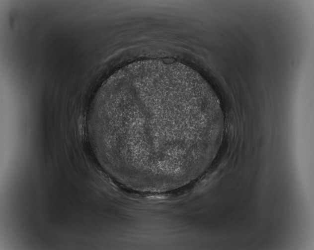 X0000086031490200704131900