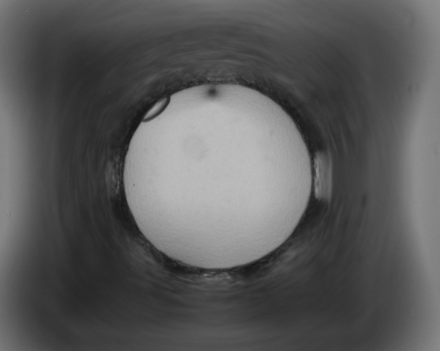 X0000086031491200704131900