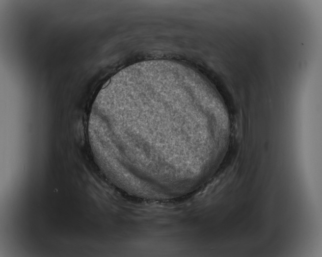 X0000086031493200704131900