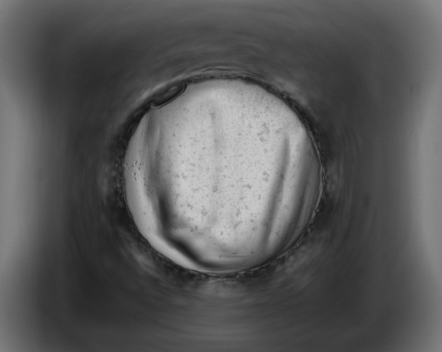 X0000086031496200704131900