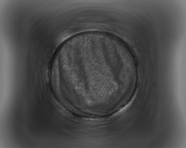 X0000086031497200704131900