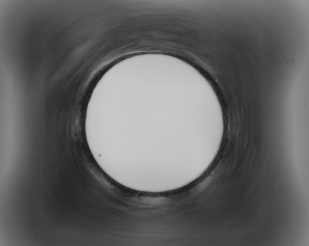 X0000086031498200704131900