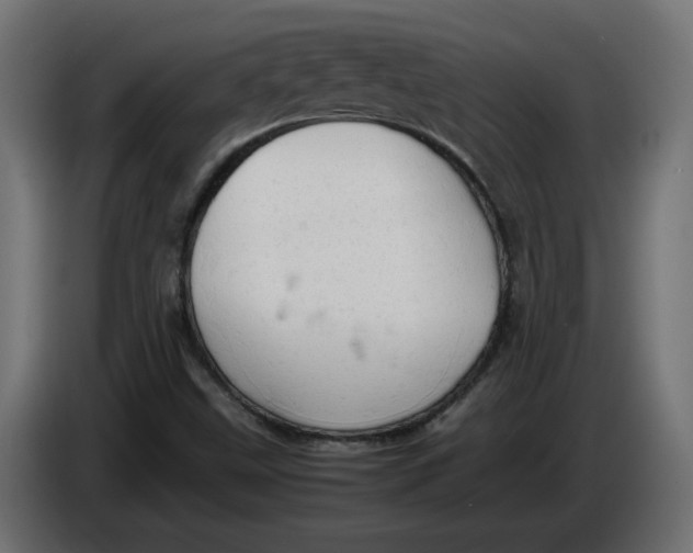 X0000086031499200704131900