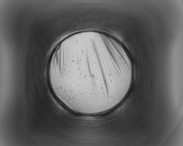 X0000086031500200704131900