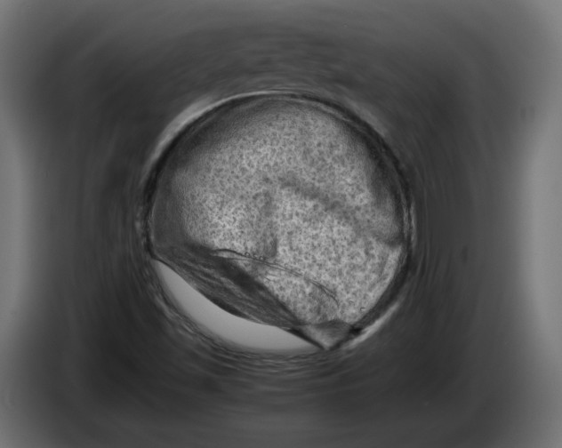 X0000086031501200704131900