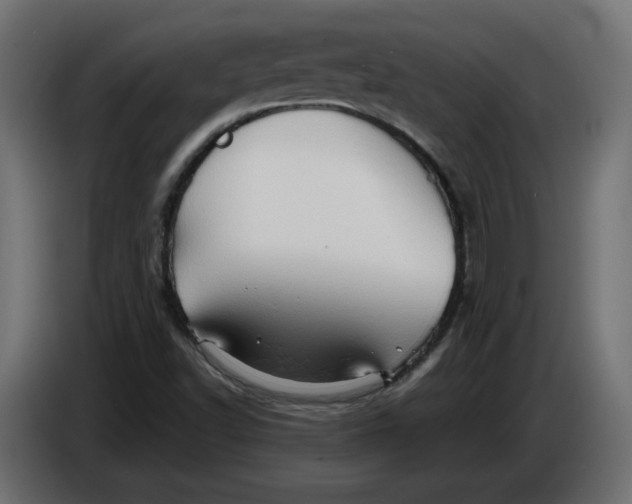 X0000086031502200704131900