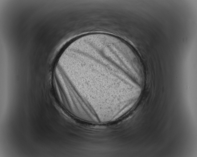 X0000086031503200704131900