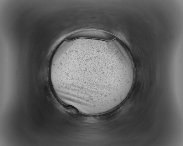 X0000086031504200704131900