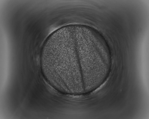 X0000086031505200704131901