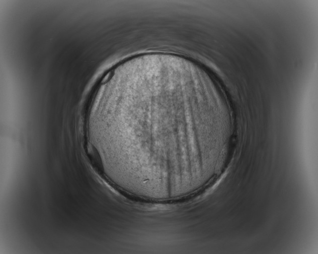 X0000086031506200704131901