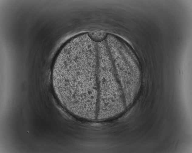 X0000086031507200704131901