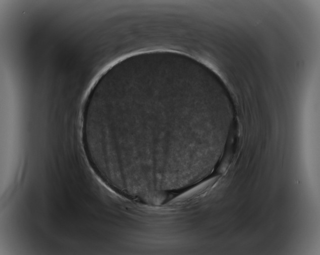 X0000086031508200704131901