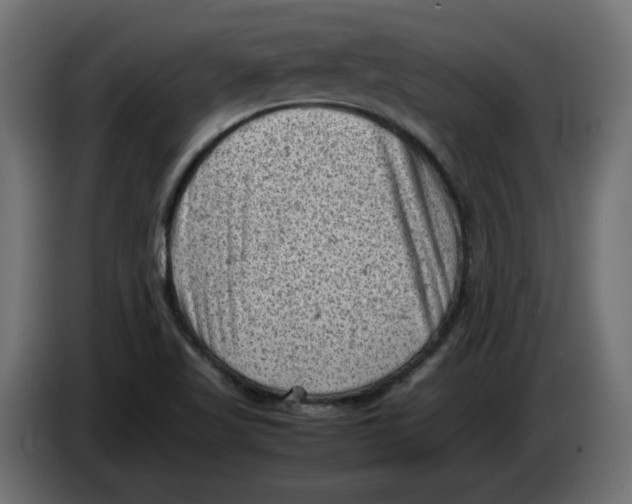 X0000086031509200704131901