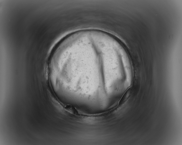 X0000086031510200704131901