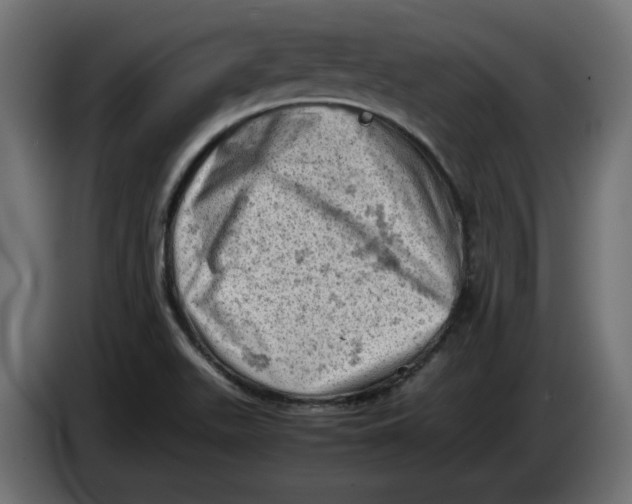 X0000086031511200704131901