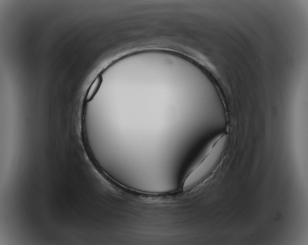 X0000086031512200704131901