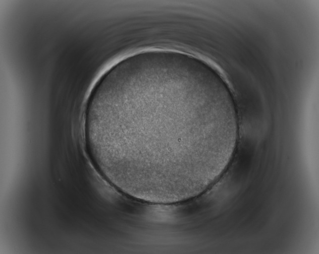 X0000086031514200704131901