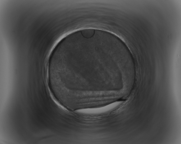 X0000086031515200704131901