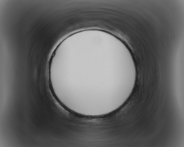 X0000086031516200704131901