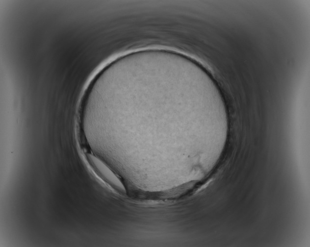 X0000086031518200704131901