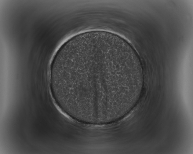 X0000086031519200704131901