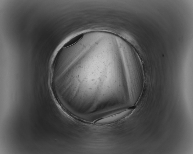 X0000086031520200704131901