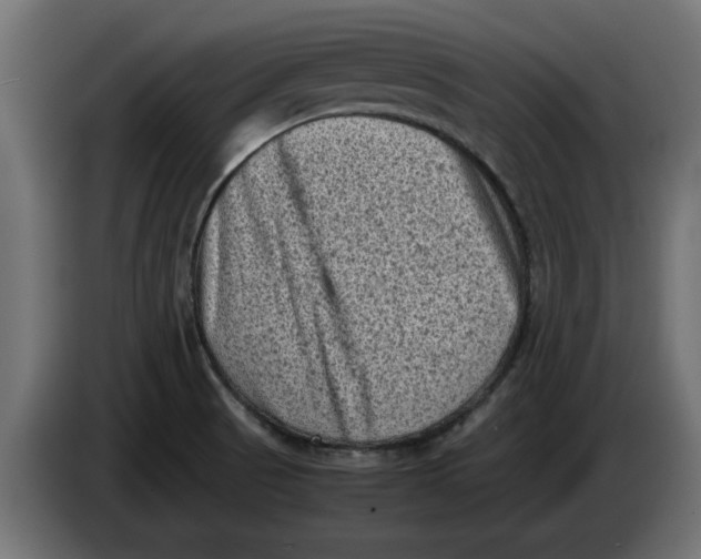 X0000086031521200704131901