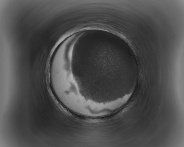 X0000086031522200704131901