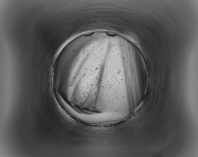 X0000086031524200704131901