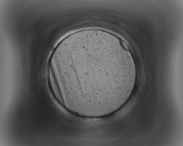 X0000086031526200704131901