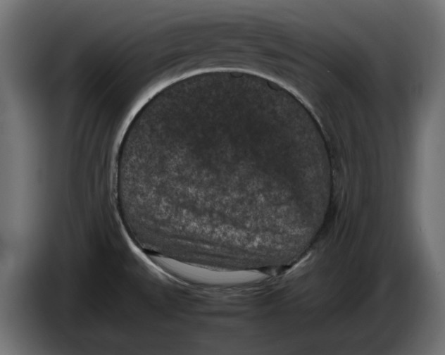 X0000086031527200704131901