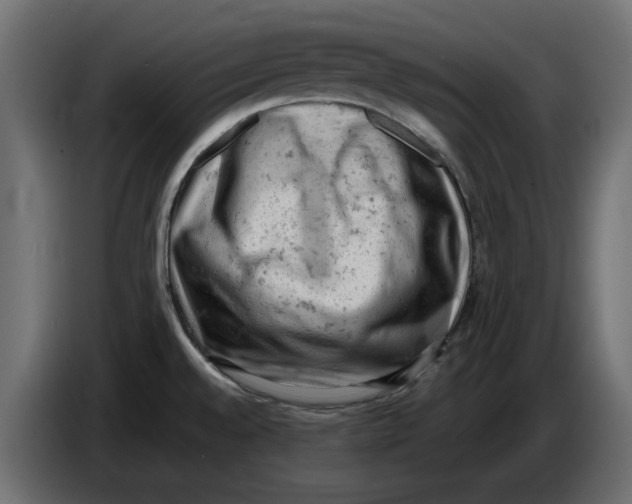 X0000086031528200704131901