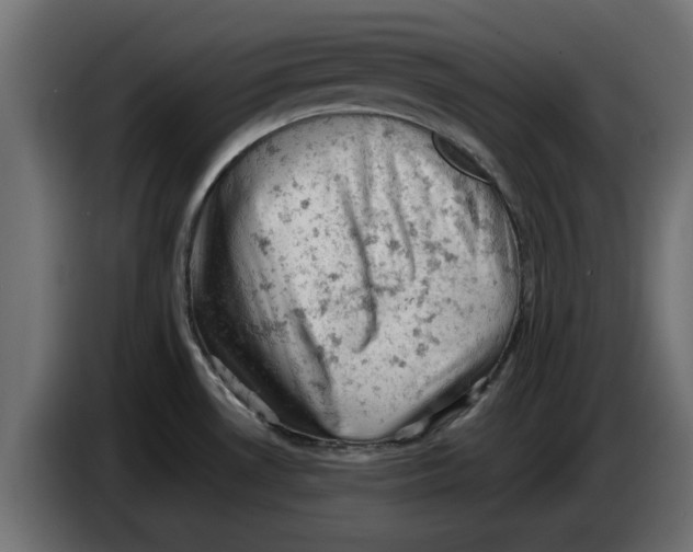 X0000086031530200704131901