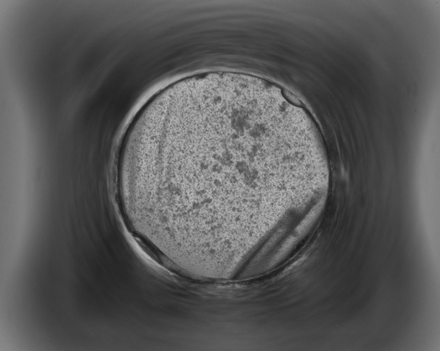 X0000086031531200704131901