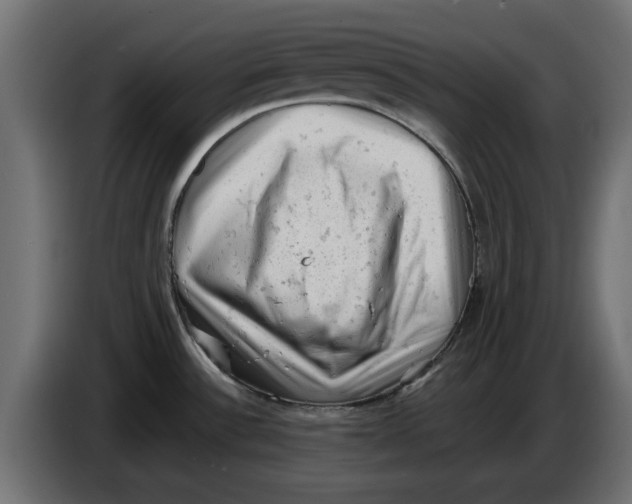 X0000086031532200704131901