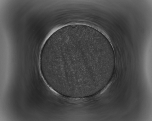 X0000086031533200704131901