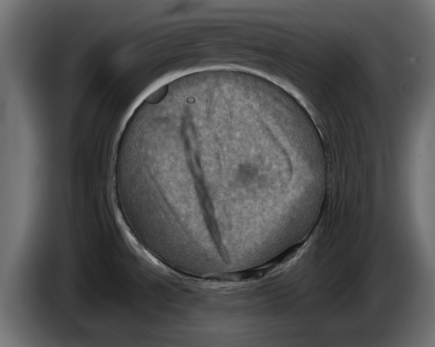 X0000086031534200704131901