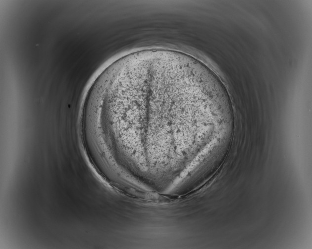 X0000086031536200704131901