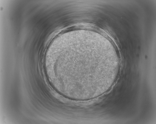 X0000086030001200704201958