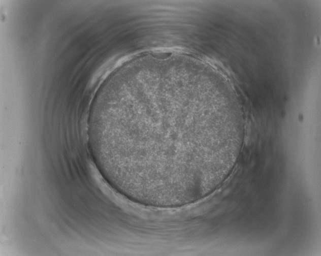 X0000086030002200704201958