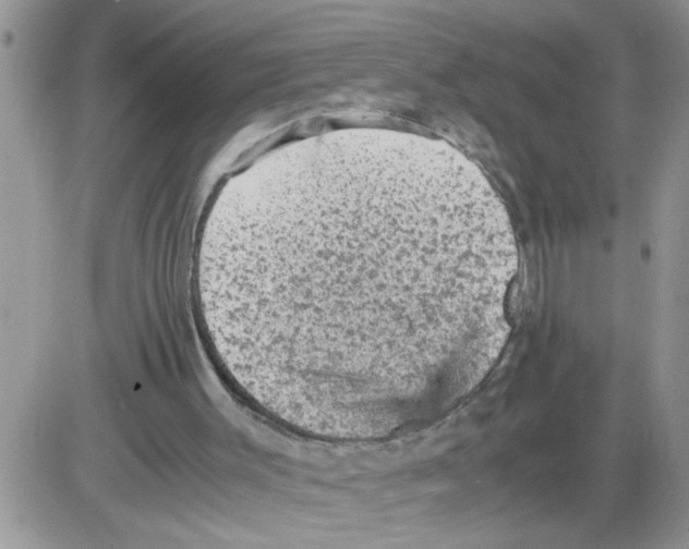 X0000086030003200704201958