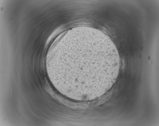 X0000086030004200704201958