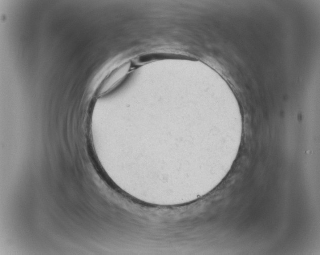 X0000086030007200704201957